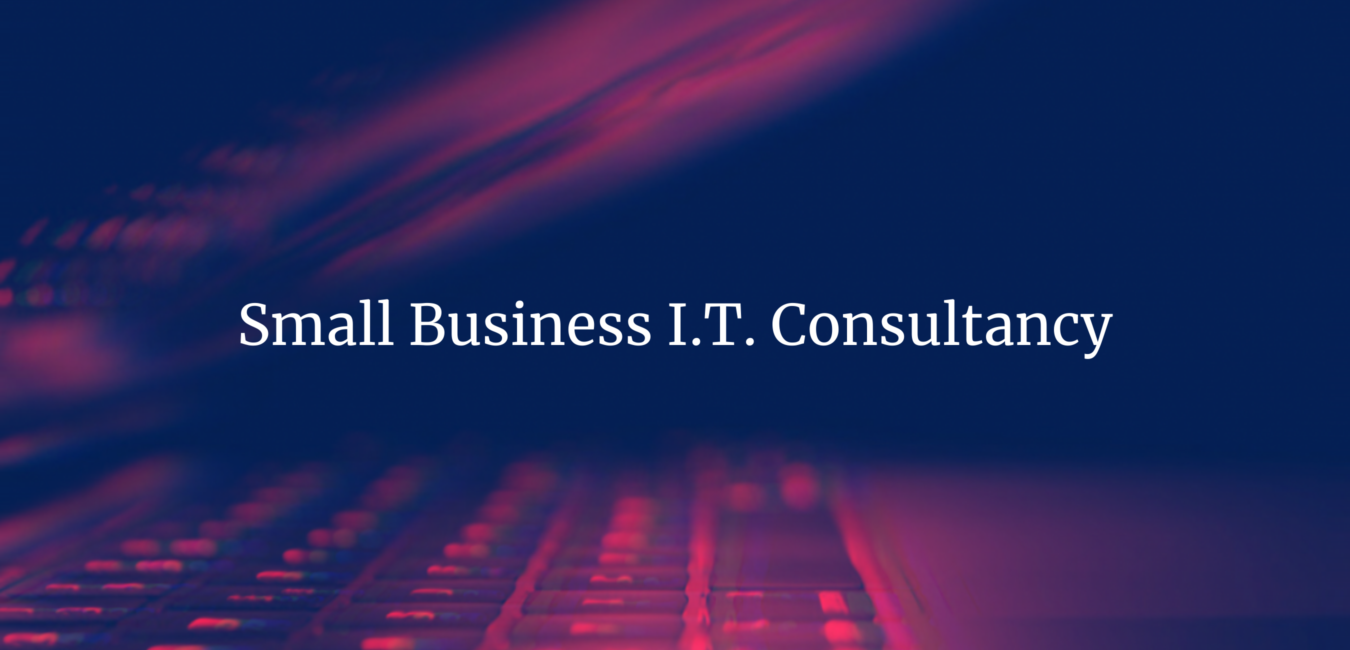 Small Business I.T. Consultancy (2)