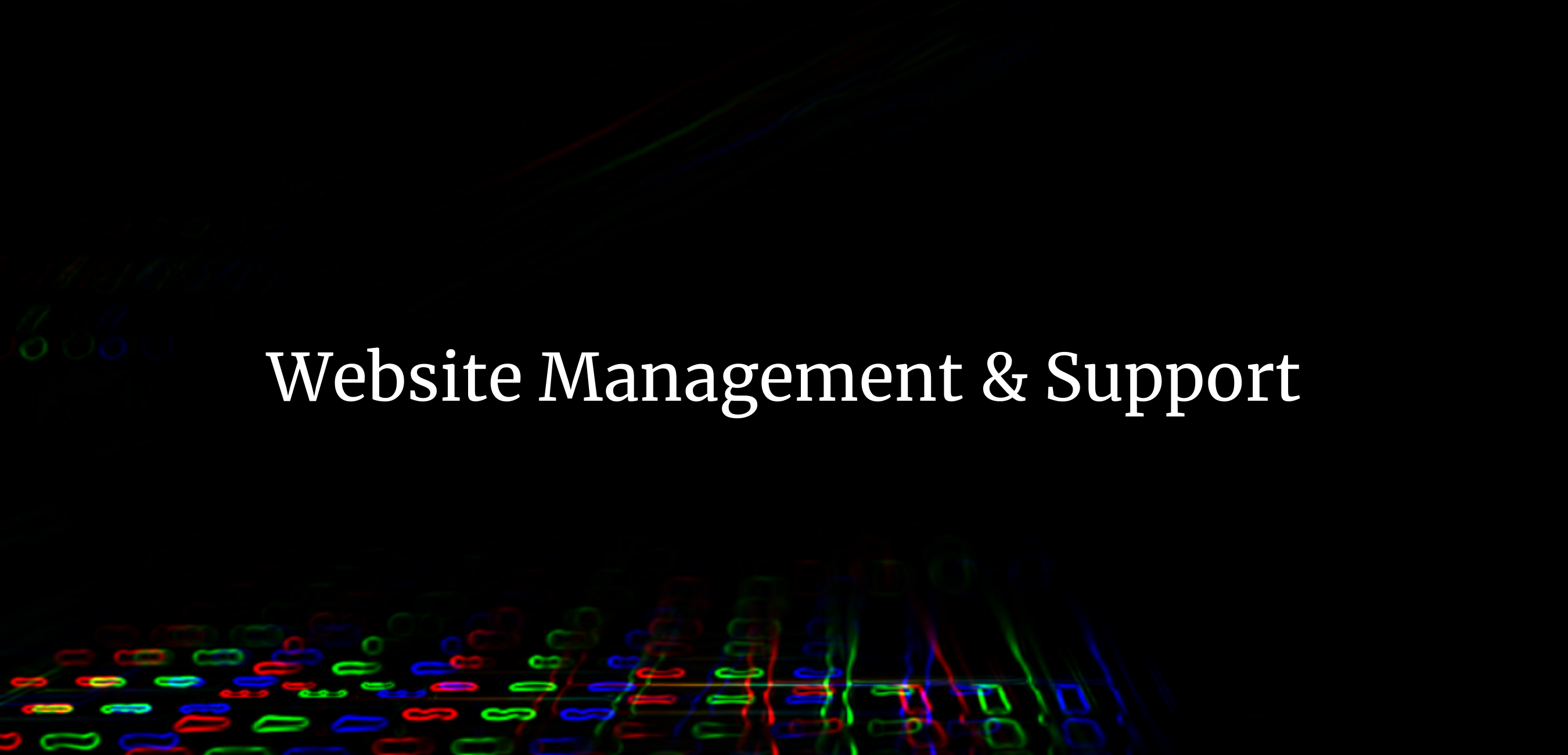 Website Management & Support (3)